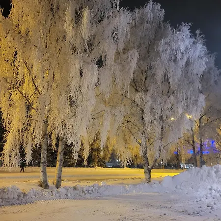 Arctic With Own Sauna Rovaniemi