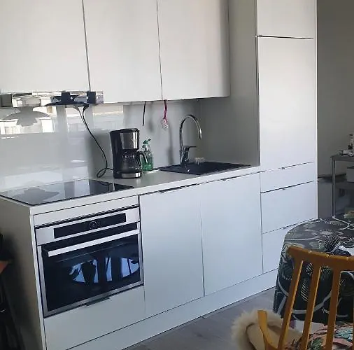 Arctic With Own Sauna 公寓 罗瓦涅米