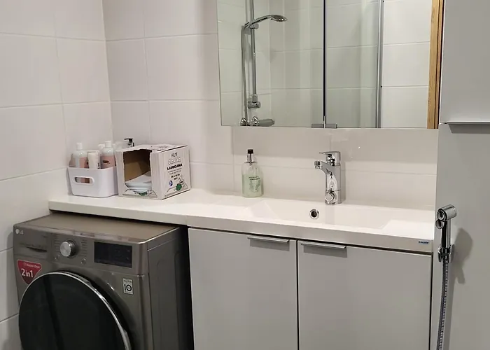 Arctic With Own Sauna 公寓 罗瓦涅米